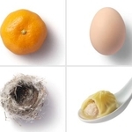 　身近にある包むモノたち。（左上から時計回りに）ミカン、卵、小籠包、鳥の巣（提供写真）