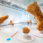 　武田拓《はし》（２０１０年　作家蔵　展示風景　撮影：佐藤基）（提供写真）