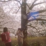 （Ｃ）２０２５「秒速５センチメートル」製作委員会