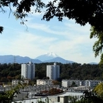 　京王百草園の「見晴台」から見える富士山＝東京都日野市