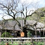 　京王百草園にある梅の古木（手前）と松連庵＝東京都日野市