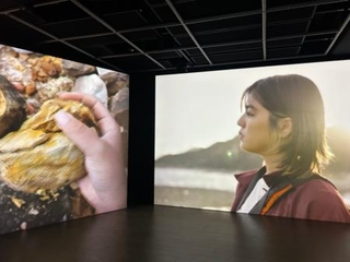 　サイドコアの映像作品「ｌｉｖｉｎｇ　ｒｏａｄ」。能登の海岸を歩く俳優の坂口彩夏さん（提供写真）