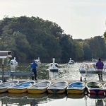 　石神井公園のボート場＝東京都練馬区