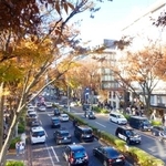 　ケヤキ並木に縁取られた表参道＝東京都内