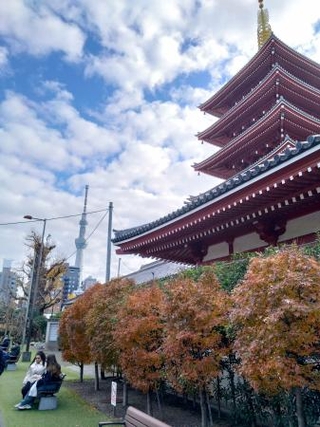 　浅草寺の五重塔。向こうに東京スカイツリーが見える＝東京都台東区