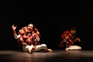 国際芸術祭「あいち２０２５」パフォーミングアーツ　態変「ＢＲＡＩＮ（ブレイン）」（Ｐｈｏｔｏ：相模友士郎）