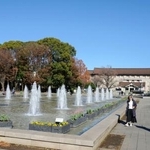 　上野公園＝東京都台東区