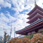 　浅草寺の五重塔。向こうに東京スカイツリーが見える＝東京都台東区