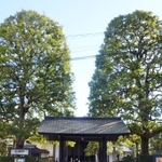 　国立能楽堂の門＝東京都渋谷区