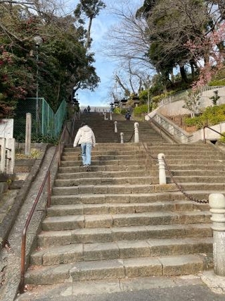 　池上本門寺の石段＝東京都大田区