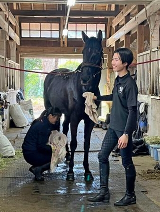　学習院大の厩舎＝東京都豊島区