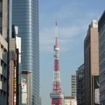 　外苑東通りから見た東京タワー＝東京都港区