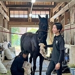 　学習院大の厩舎＝東京都豊島区