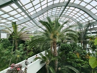 　熱帯環境植物館の温室に生い茂る熱帯の植物＝東京都板橋区