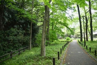 　赤塚公園の遊歩道＝東京都板橋区