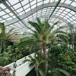 　熱帯環境植物館の温室に生い茂る熱帯の植物＝東京都板橋区