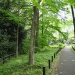 　赤塚公園の遊歩道＝東京都板橋区