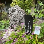 　さざれ石とシランの花＝東京都千代田区