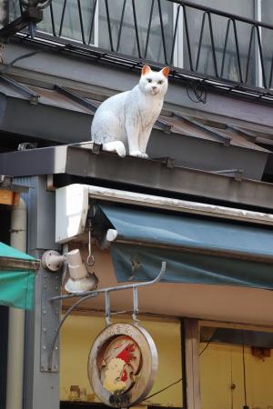 　谷中銀座商店街にある木彫りの猫＝東京都台東区