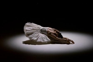　「瀕死の白鳥」を踊る中村祥子（「ＢＡＬＬＥＴ　ＴｈｅＮｅｗＣｌａｓｓｉｃ２０２２」より　撮影・相澤裕史）
