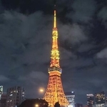 　夜空を照らす東京タワー＝東京都港区