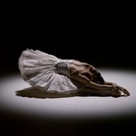 　「瀕死の白鳥」を踊る中村祥子（「ＢＡＬＬＥＴ　ＴｈｅＮｅｗＣｌａｓｓｉｃ２０２２」より　撮影・相澤裕史）