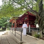 　金王八幡宮の社殿と金王桜（右）＝東京都渋谷区