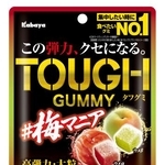 　カバヤ食品の「タフグミ　梅マニア」