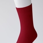 　ＭＴＧが発売した靴下「ＲｅＤ（レッド）　バイタルテック　リカバリーソックス［クルー丈］」（同社提供）