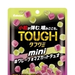 　カバヤ食品の「タフグミ　ｍｉｎｉ　グレープ＆マスカットデュオ」