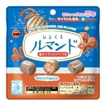 　ブルボンの「ひとくちルマンド塩キャラメルアイス味」