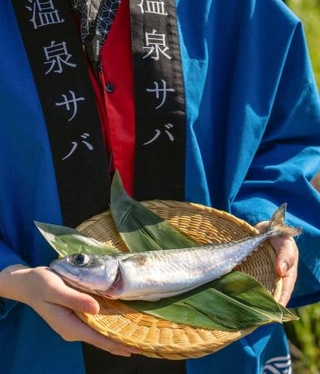　「さかなと」が温泉サバ陸上養殖場で育てたサバ＝埼玉県神川町（同社提供）