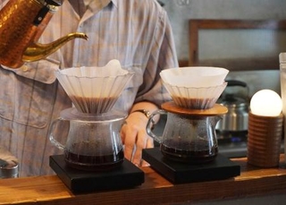 　土佐和紙のコーヒーフィルター（左）と通常のコーヒーフィルター＝２０２４年７月、高知市