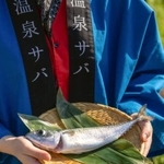 　「さかなと」が温泉サバ陸上養殖場で育てたサバ＝埼玉県神川町（同社提供）