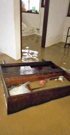 　記録的豪雨による浸水被害に遭った欠芳子さん宅＝９月２１日、石川県珠洲市（本人提供）