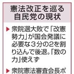 　憲法改正を巡る自民党の現状
