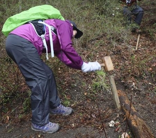 　鹿児島県と宮崎県にまたがる霧島錦江湾国立公園の霧島地域で、登山道を整備する人＝２０２４年４月
