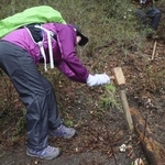 　鹿児島県と宮崎県にまたがる霧島錦江湾国立公園の霧島地域で、登山道を整備する人＝２０２４年４月