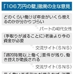 　「１０６万円の壁」撤廃の主な意見