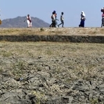 　アフリカ南部マラウイの東部サリマ郊外にある干上がった田んぼと地元住民ら＝２０２４年１１月（共同）