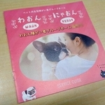 　アニスピホールディングス（現アニスピＨＤ）がフランチャイズで展開する障害者向けグループホームのリーフレット（画像の一部を加工しています）