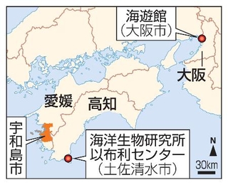 　大阪市「海遊館」、愛媛県宇和島市、高知県土佐清水市「海洋生物研究所以布利センター」