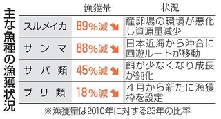 　主な魚種の漁獲状況
