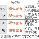 　主な魚種の漁獲状況