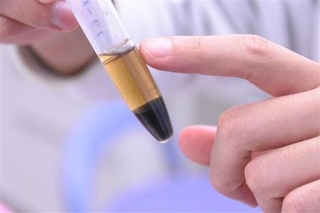 　地層の花粉から抽出した炭素