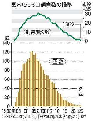 　国内のラッコ飼育数の推移