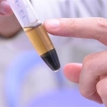 　地層の花粉から抽出した炭素