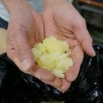 　し尿に見立てた色水を凝固剤でかけたもの＝２０２４年１１月、東京都大田区