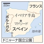 　スペイン・マドリード、ドニャーナ国立公園、イベリア半島、ポルトガル