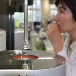 　ＣＯ２吸着材の耐久性を調べる地球環境産業技術研究機構の研究員＝６月、京都府木津川市